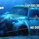 Illustration for article titled BREAKING: We Have Determined The Year And Model Of The Beetle In iFinding Dory/i